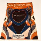 You're Driving Me Crazy ( What Did I Do) 1930 sheet music by Donaldson Vintage