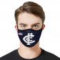 Carlton Blues Face Mask PM2.5 Filters