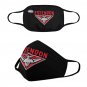 Essendon Bombers Face Mask PM2.5 Filters