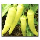 200 Sweet Banana Pepper Seeds Fresh Garden Seeds  NON-GMO