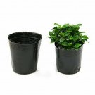 100 pcs Plastic Bowl Garden Plant Nutrition Pots Flower Seedlings Nursery