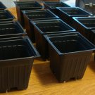 50 PLASTIC FLOWER NURSERY PLANT POTS 3 inch