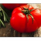50 pcs Beefsteak Tomato Seeds | NON-GMO | Fresh Garden Seeds
