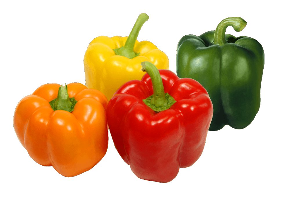 100 Sweet Bell Pepper Seeds Bell Mix Red Green Yellow Vegetable Seed