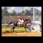 HORSE RACING OIL PAINTING ON CANVAS 20"X24"
