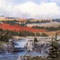 NATURE SCENERY OIL PAINTING ON CANVAS 20"X24"