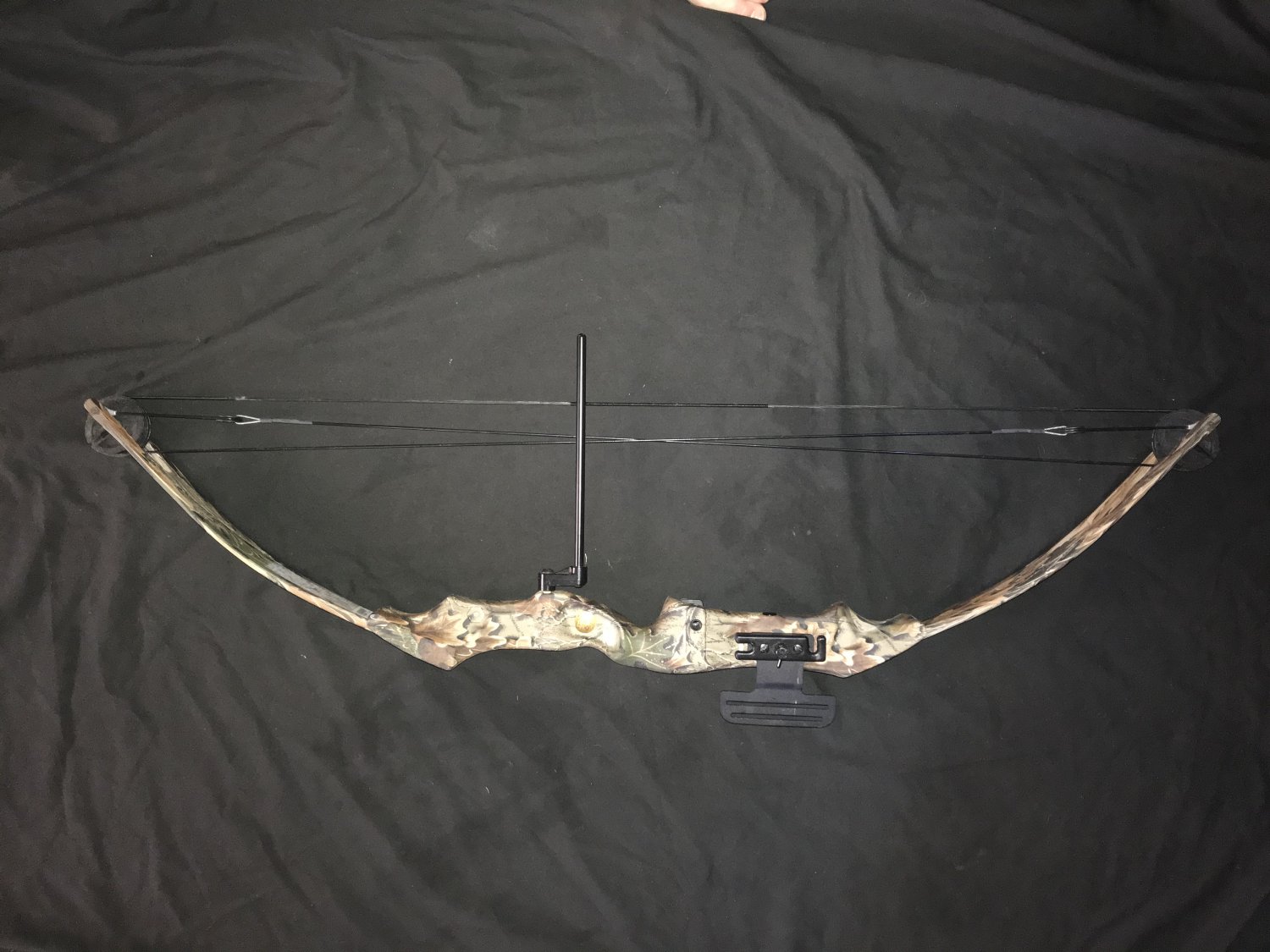Bear Kodiak II 2 Compound Bow