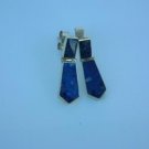 Earrings Lynx