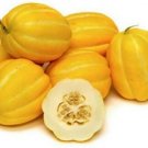10 seeds - Neungju Gold Value Melon Chilsan Korean Melon Plant #ggvm5