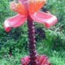 10 seeds - Banana - Musa ornata (Purple) Plant #ggvm5