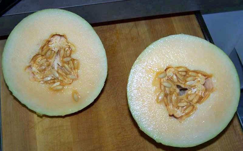 10 seeds - Hami melon Seeds Plant #ggvm5