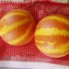 10 seeds - Cucumis melo var. dudaim Plum Granny Plant #ggvm5