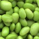 15 seeds - Edamame Tohya Green Plant #ggvm5