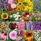 500 seeds - Late Bloomer Fall Bloom Wildflowers 19 Flower Species - For Your Home Garden #mtns6