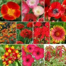 350 Seeds - Red Head Wildflower Mix All Red Flower - Flower Garden #mtns6