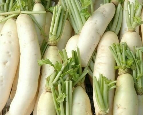 200 Seeds - Daikon Radish Seeds - For Your Vegetable Garden #trck7