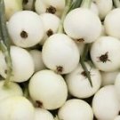 200 Seeds - Onion Seeds White Sweet Spanish Mild Vegetable - For Your Vegetable Garden #trck7
