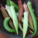 30 Seeds - Rainbow Fiesta Okra Seeds Mix - For Your Vegetable Garden #trck7