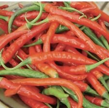 50 Seeds - Cayenne Pepper Seeds - For Your Vegetable Garden #trck7