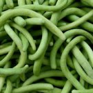 50 Seeds - Dark Armenian Cucumber Seeds - For Your Vegetable Garden #trck7