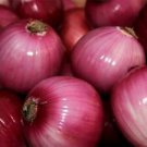 200 Seeds - Red Grano Onion Seeds - For Your Vegetable Garden #trck7