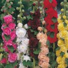 20X Seeds Hollyhock Chaters Double Mixed Flower Seeds Plant Home Garden #lpau