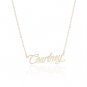 Courtney Name Necklace Gold Silver and Rose Gold for Women