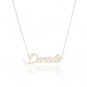 Danielle Name Necklace Gold Silver and Rose Gold for Women