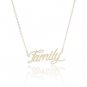 Family Name Necklace Gold Silver and Rose Gold for Women