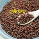 100% Pure and Natural Whole Mustard Seed Premium Best Quality Spice From India