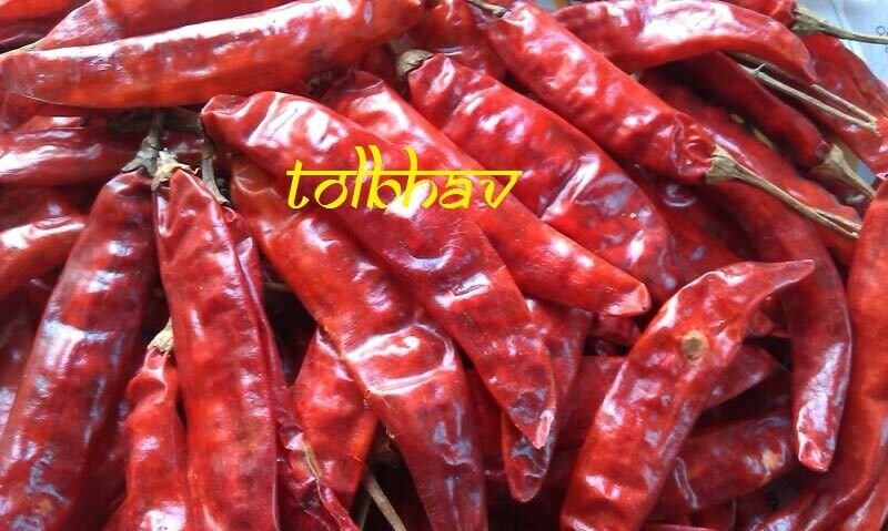 100%  Natural Pure Dry Red Chilli Whole Premium Best Quality From India