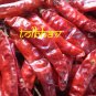 100% Natural Pure Dry Red Chilli Whole Premium Best Quality From India