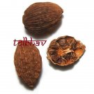 100% Natural Pure Premium and Best Quality Spice Black Cardamom Pod From India