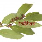 100% Pure Natural Bay Leaves / Tejpatta Premium Quality Spice From India