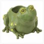 Frog Container Statuary