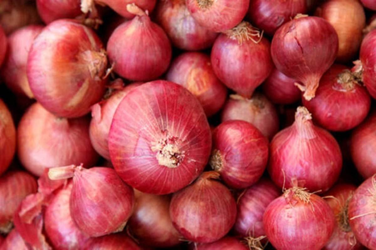 Red Onion
