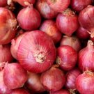 Red Onion