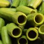 3XPS Zucchini Corer Fruits and Vegetables Corer