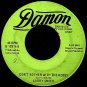 Smith, Larry - A Woman Like You / Don't Bother With The Roses - Vinyl 45 Record - Rock