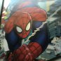 Spider-Man Gallery, 3D Lenticular Hologram Framed Group Shot **RARE MUST HAVE**
