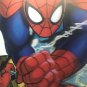 Spider-Man Gallery, 3D Lenticular Hologram Framed Group Shot **RARE MUST HAVE**