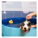 PISCINE PORTATIVE PORTABLE