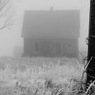 Foggy Morning 8x10 Photo Print (Unframed)