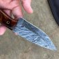 AN CUSTOM HANDMADE DAMASCUS STEEL 10" HUNTING KNIFE WITH WOOD HANDLE
