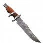 AN CUSTOM HANDMADE DAMASCUS STEEL 15" HUNTING KNIFE WITH WOOD HANDLE