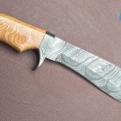 AN BEAUTIFUL CUSTOM HANDMADE Damascus STEEL KNIFE WOOD HANDLE .