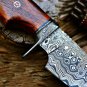 CUSTOM HANDMADE DAMASCUS STEEL 10" HUNTING KNIFE, SKINNER KNIFE, WITH WOOD HANDL