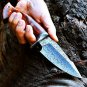 CUSTOM HANDMADE DAMASCUS STEEL 10" HUNTING KNIFE, SKINNER KNIFE, WITH WOOD HANDL