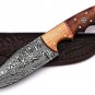 CUSTOM HANDMADE DAMASCUS STEEL 10" HUNTING KNIFE, SKINNER KNIFE, BOWIE KNIFE,EDC