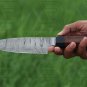 AB03 Handmade Damascus steel 10â chef knife with Rose Wood Handle